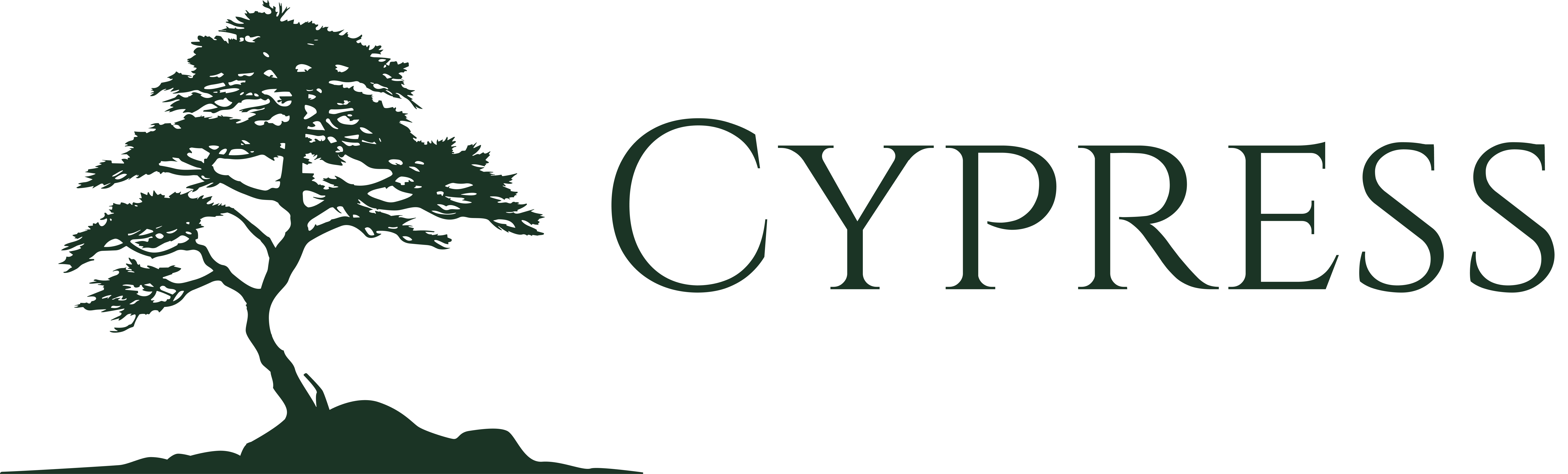 Cypress Capital Holdings