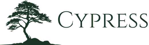 Cypress Capital Holdings